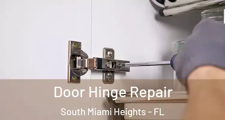  Door Hinge Repair South Miami Heights - FL