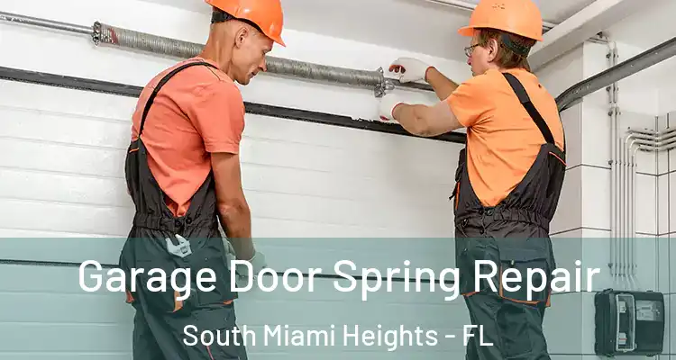  Garage Door Spring Repair South Miami Heights - FL