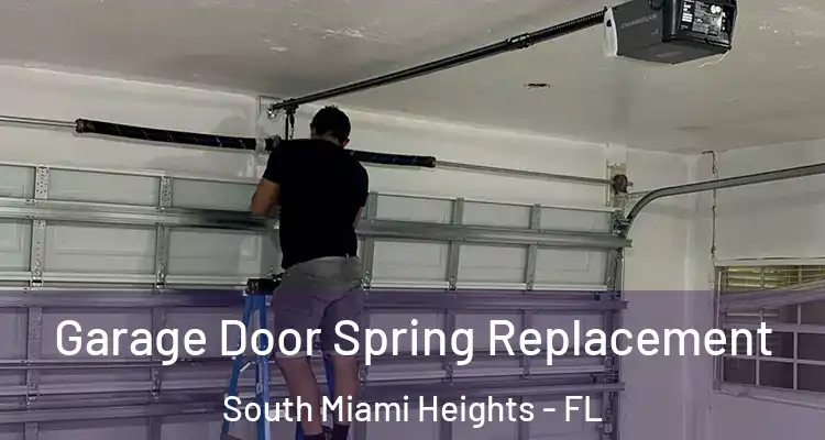  Garage Door Spring Replacement South Miami Heights - FL