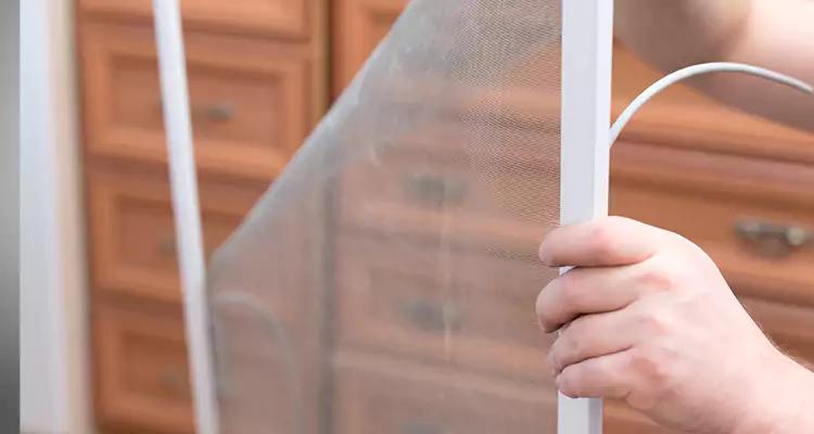 Privacy Mesh Screen Door Installation in South Miami Heights, FL
