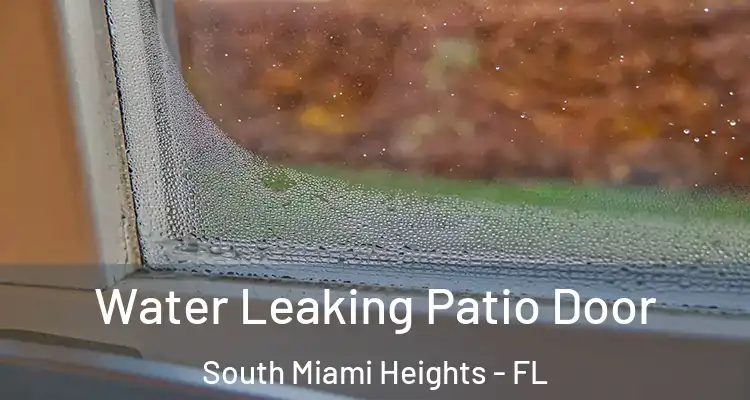  Water Leaking Patio Door South Miami Heights - FL
